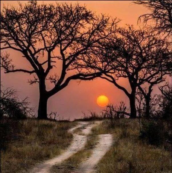 Weltevreden Game Lodge Bloemfontein Buitenkant foto