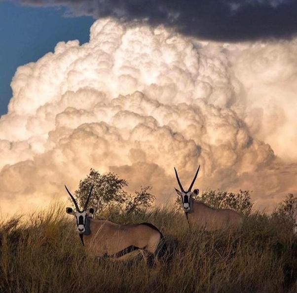 Weltevreden Game Lodge Bloemfontein Buitenkant foto