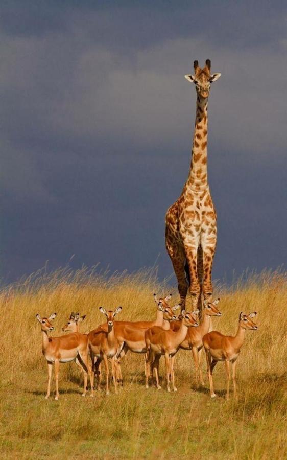 Weltevreden Game Lodge Bloemfontein Buitenkant foto
