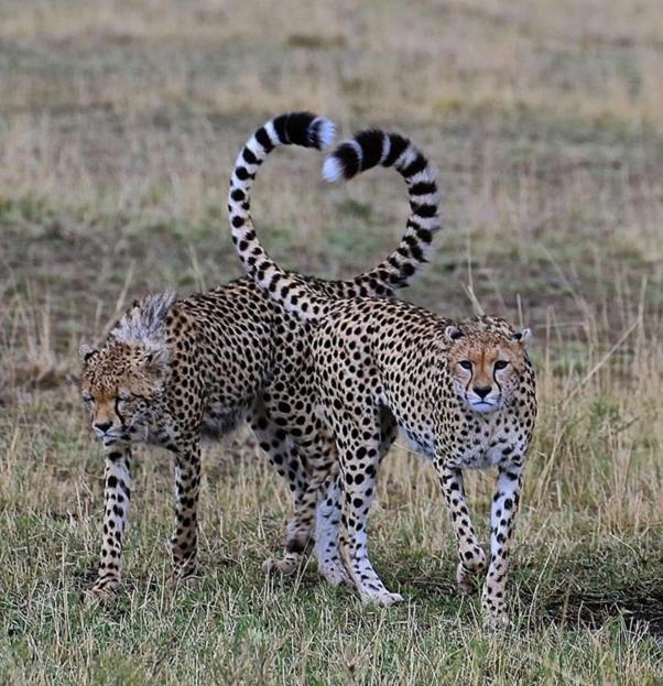 Weltevreden Game Lodge Bloemfontein Buitenkant foto