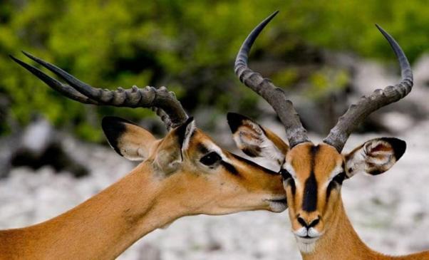 Weltevreden Game Lodge Bloemfontein Buitenkant foto
