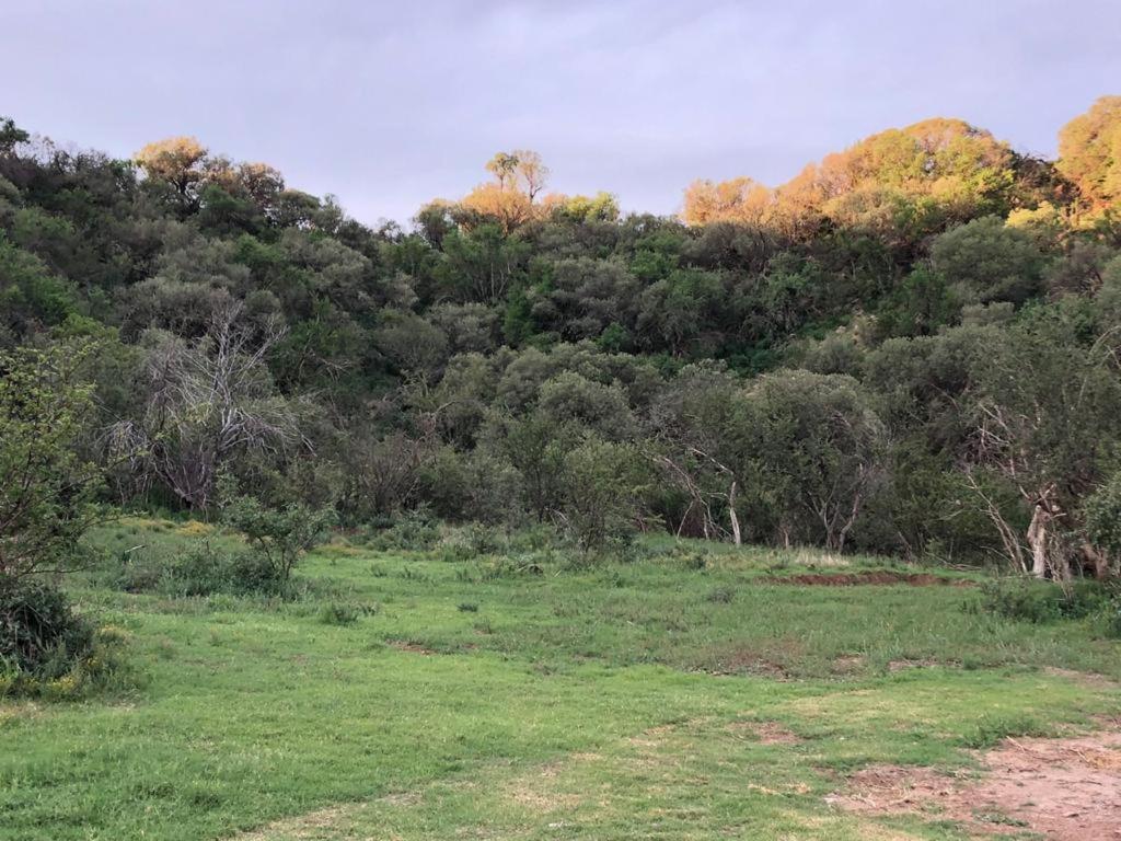 Weltevreden Game Lodge Bloemfontein Buitenkant foto