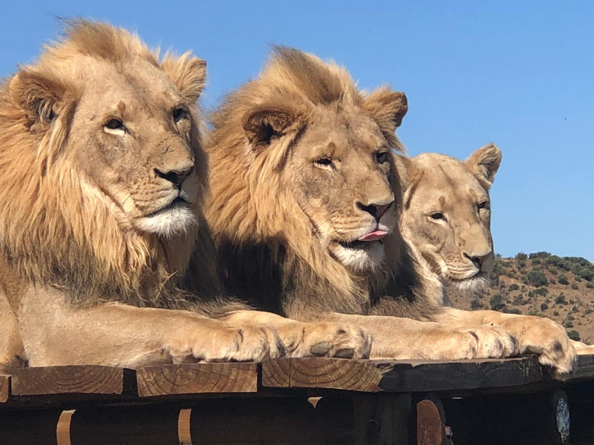 Weltevreden Game Lodge Bloemfontein Buitenkant foto