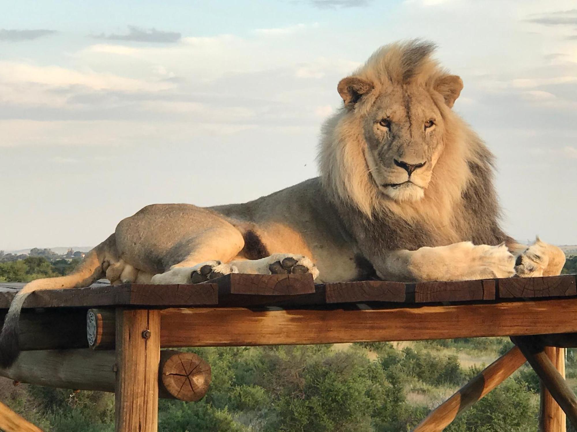 Weltevreden Game Lodge Bloemfontein Buitenkant foto